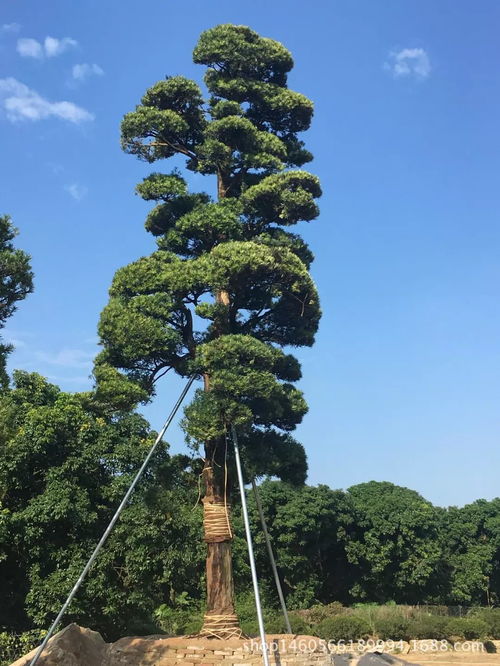 这些雷区莫踩 这些补助速领