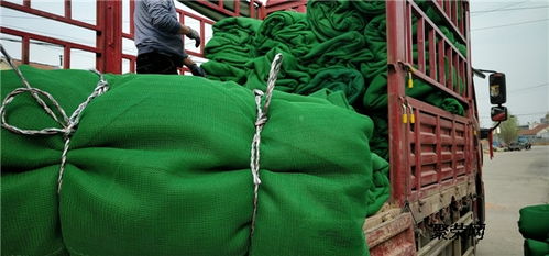 聚乙烯阻燃盖土防尘网