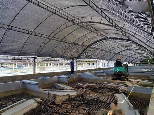 拆 这个地方的工厂化养殖已清退112家