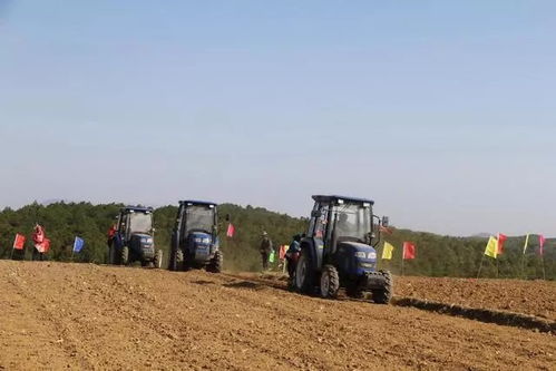 精品苗培育几大缺点,你中招了吗