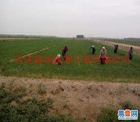 【出售膜下喷灌带价格_湘潭县大田喷灌厂家】-省内其它易登网