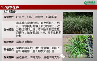 绿城集团园林软景苗木图谱 全套