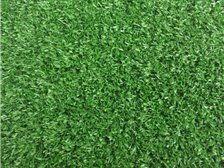 郴州市苏仙区湘绿草皮苗木基地产品展示