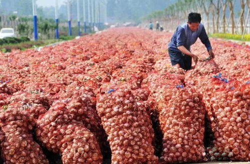 济宁发布重大利好消息 惠及全市800万人...