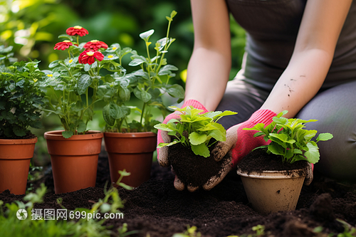 花卉苗木的科学养殖方法与注意事项