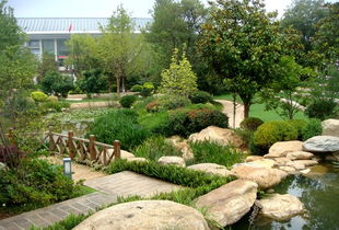 园林绿化工程承建 物超所值的花卉种植之道