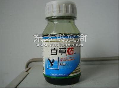 二月蓝绿化器材出售与苗木营养杯供应商介绍