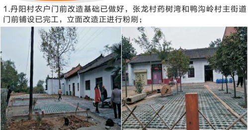 十月份联村党委林业种殖工作纪实 创新模式与生态富民双赢